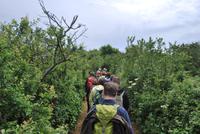 Rundgang auf Sark &ndash; &copy; Eric Richter (Eberhardt TRAVEL)