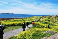 Fort Hommet - Guernsey &ndash; &copy; Eric Richter (Eberhardt TRAVEL)