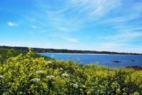Fort Hommet - Guernsey &ndash; &copy; Eric Richter (Eberhardt TRAVEL)