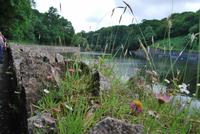 Wanderung Jersey &ndash; &copy; Eric Richter (Eberhardt TRAVEL)