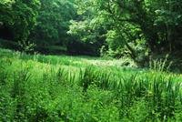 Wanderung Jersey &ndash; &copy; Eric Richter (Eberhardt TRAVEL)