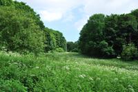 Wanderung Jersey &ndash; &copy; Eric Richter (Eberhardt TRAVEL)