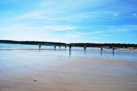 Strand Jersey &ndash; &copy; Eric Richter (Eberhardt TRAVEL)