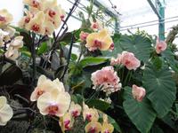Eric Young Orchid Foundation &ndash; &copy; Barbara Mihut (Eberhardt TRAVEL)