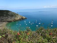 Sark &ndash; &copy; Cindy Streidt (Eberhardt TRAVEL)