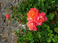 Howard Davis Park &ndash; &copy; Cindy Streidt (Eberhardt TRAVEL)