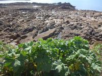 P1110022 &ndash; &copy; Philipp Schmitz (Eberhardt TRAVEL)