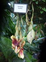 P1110136 &ndash; &copy; Philipp Schmitz (Eberhardt TRAVEL)