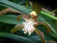 P1110138 &ndash; &copy; Philipp Schmitz (Eberhardt TRAVEL)