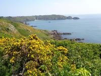 Guernsey &ndash; &copy; Barbara Mihut (Eberhardt TRAVEL)