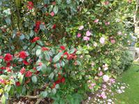 Gartentour &ndash; &copy; Barbara Mihut (Eberhardt TRAVEL)