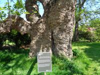 Samares Manor &ndash; &copy; Barbara Mihut (Eberhardt TRAVEL)