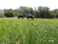 Jersey &ndash; &copy; Barbara Mihut (Eberhardt TRAVEL)