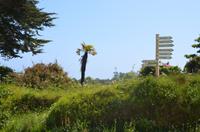 Sark &ndash; &copy; Helene Johannsen (Eberhardt TRAVEL)