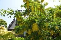 La Seigneurie, Sark &ndash; &copy; Helene Johannsen (Eberhardt TRAVEL)