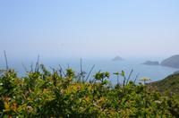 Ausblicke von Sark &ndash; &copy; Helene Johannsen (Eberhardt TRAVEL)