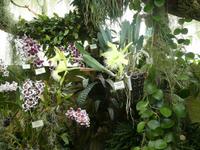 Eric Young Orchid Foundation &ndash; &copy; Marcus Richter (Eberhardt TRAVEL)