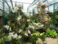 Eric Young Orchid Foundation &ndash; &copy; Marcus Richter (Eberhardt TRAVEL)