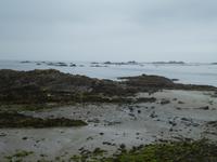 Guernsey &ndash; &copy; Marcus Richter (Eberhardt TRAVEL)