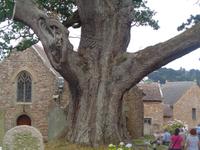 Brelade's Church &ndash; &copy; Barbara Mihut (Eberhardt TRAVEL)