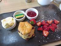 Cream Tea &ndash; &copy; Julian Bartsch (Eberhardt TRAVEL)