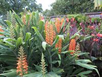 Botanischer Garten &ndash; &copy; Julian Bartsch (Eberhardt TRAVEL)