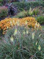 Botanischer Garten &ndash; &copy; Julian Bartsch (Eberhardt TRAVEL)