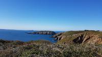 Sark &ndash; &copy; Ria Heilmann (Eberhardt TRAVEL)
