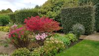Jersey, Privatgarten Grey Skinner &ndash; &copy; Ria Heilmann (Eberhardt TRAVEL)