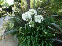 Howard Davis Park &ndash; &copy; Cindy Streidt (Eberhardt TRAVEL)