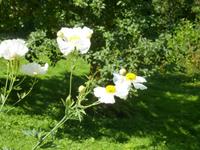 Im Garten von Misses Beanny &ndash; &copy; Cindy Streidt (Eberhardt TRAVEL)