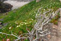 Jersey &ndash; &copy; Martina Häselbarth (Eberhardt TRAVEL)