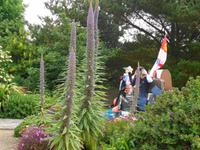 Sark &ndash; &copy; Martina Häselbarth (Eberhardt TRAVEL)