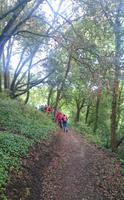 Jersey, Wanderung entlang der 