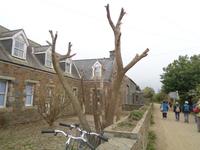 Sark &ndash; &copy; Barbara Mihut (Eberhardt TRAVEL)