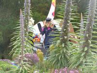 Sark &ndash; &copy; Barbara Mihut (Eberhardt TRAVEL)