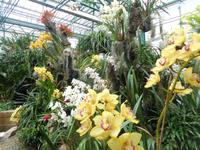 Eric Young Orchid Foundation &ndash; &copy; Barbara Mihut (Eberhardt TRAVEL)