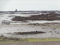 Gorey Bay &ndash; &copy; Barbara Mihut (Eberhardt TRAVEL)