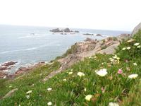 La Corbière &ndash; &copy; Barbara Mihut (Eberhardt TRAVEL)