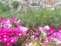 Elizabeth Castle &ndash; &copy; Barbara Mihut (Eberhardt TRAVEL)