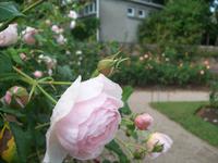 Howard Davis Park &ndash; &copy; Ingrid Langer (Eberhardt TRAVEL)