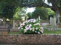 St. Brelade's Parish Church &ndash; &copy; Ingrid Langer (Eberhardt TRAVEL)