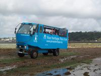Puddle Duck &ndash; &copy; Ingrid Langer (Eberhardt TRAVEL)