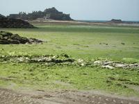 Elizabeth Castle &ndash; &copy; Ingrid Langer (Eberhardt TRAVEL)