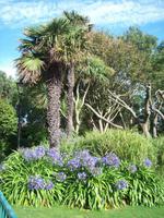 im Howard Davis Park &ndash; &copy; Ingrid Langer (Eberhardt TRAVEL)