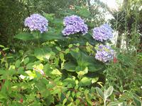 im Howard Davis Park &ndash; &copy; Ingrid Langer (Eberhardt TRAVEL)