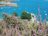 Klippenwanderung von der Bouley Bay zur Rozel Bay  &ndash; &copy; Ingrid Langer (Eberhardt TRAVEL)