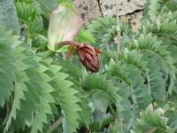  Gartenpracht... &ndash; &copy; Adelheid Fritzsche (Eberhardt TRAVEL)