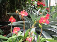  Orchid Foundation &ndash; &copy; Adelheid Fritzsche (Eberhardt TRAVEL)