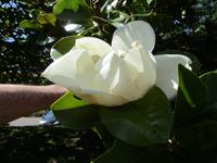 IMG_4971 &ndash; &copy; Adelheid Fritzsche (Eberhardt TRAVEL)